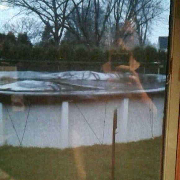 Meet your Posher, Kevin - Picture 1 of 1